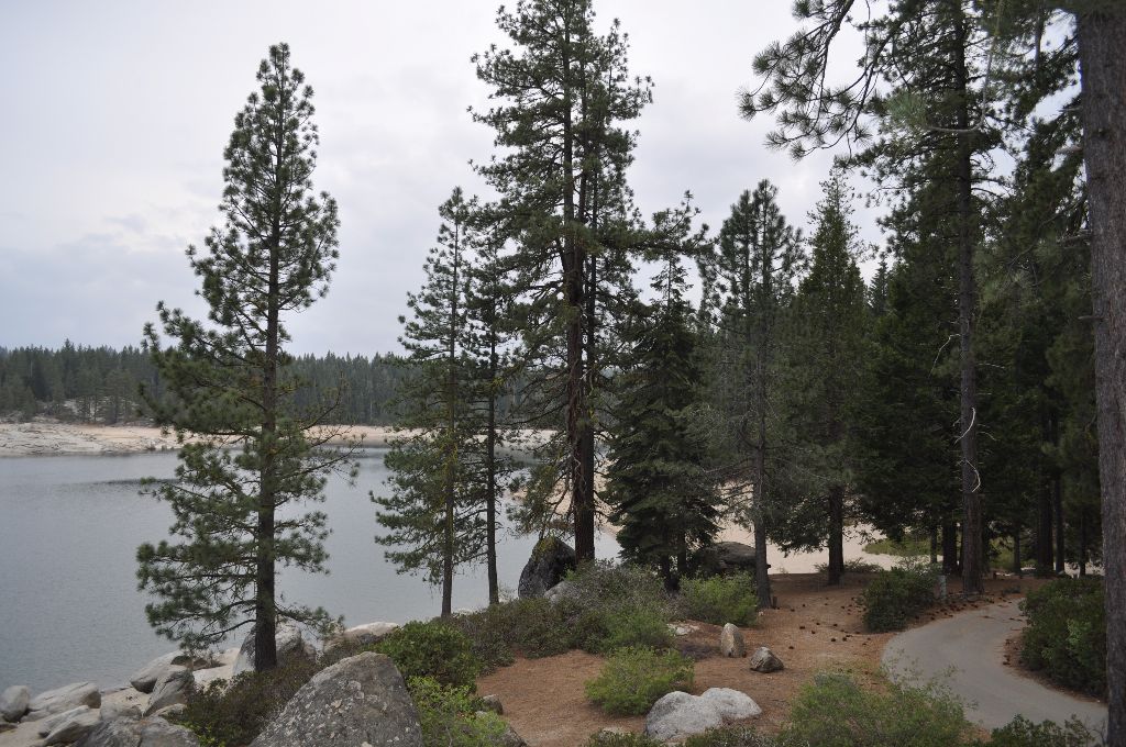 Shaver Lake Sierra National Forest